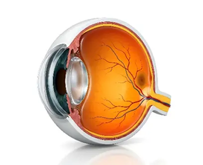 Retina care focused on your individual needs
