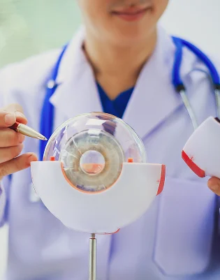 Retinal Screening