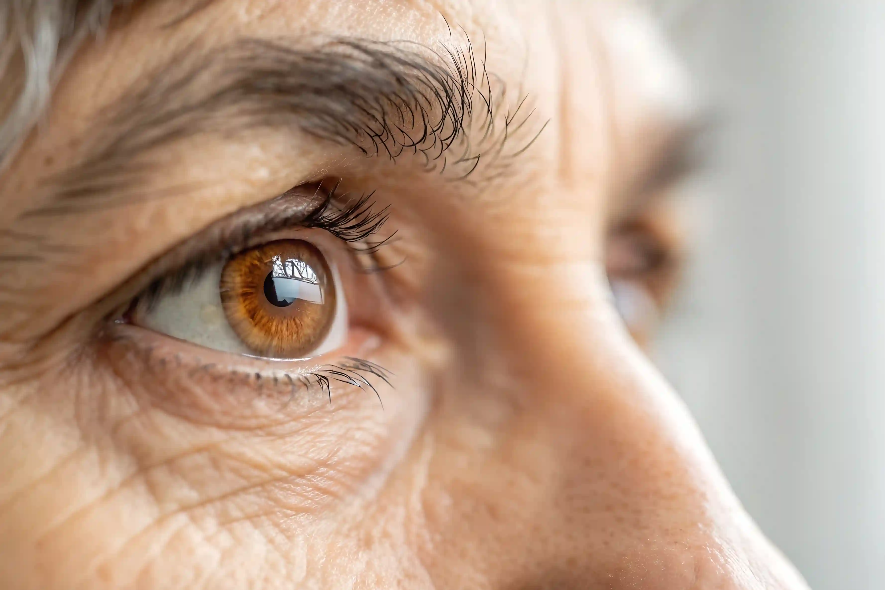 Image of an Eye